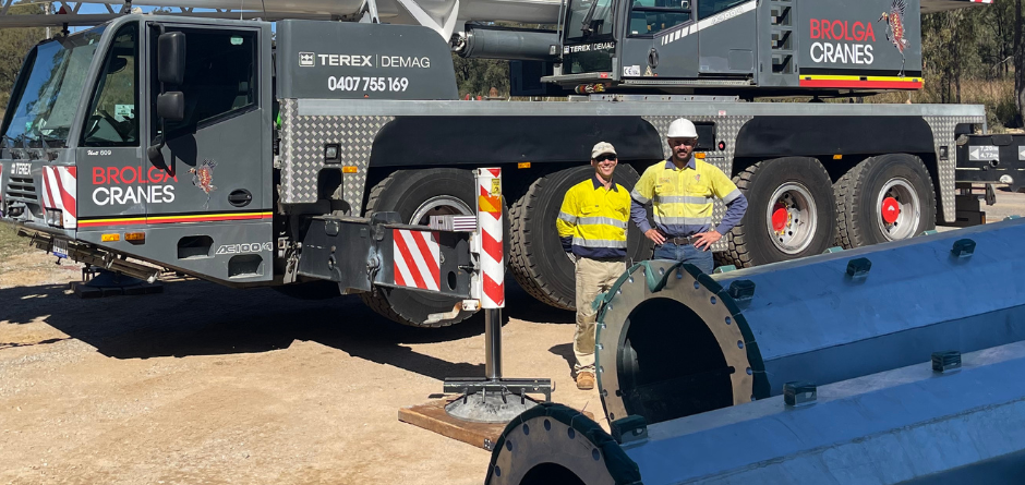 Brolga Cranes Gladstone